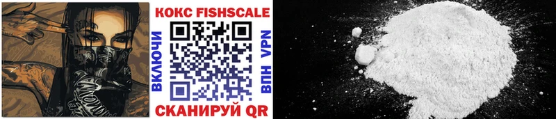 OMG вход  сколько стоит  Валуйки  COCAIN Columbia 
