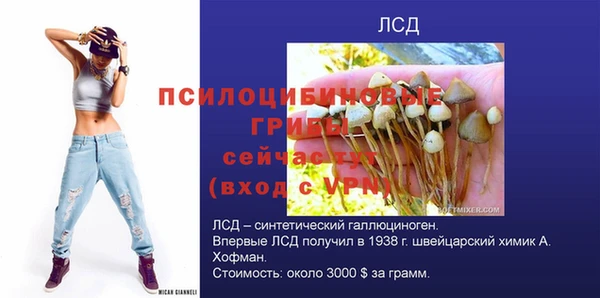 ALPHA PVP Белокуриха
