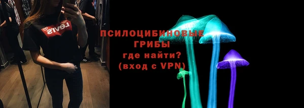 ECSTASY Богородицк