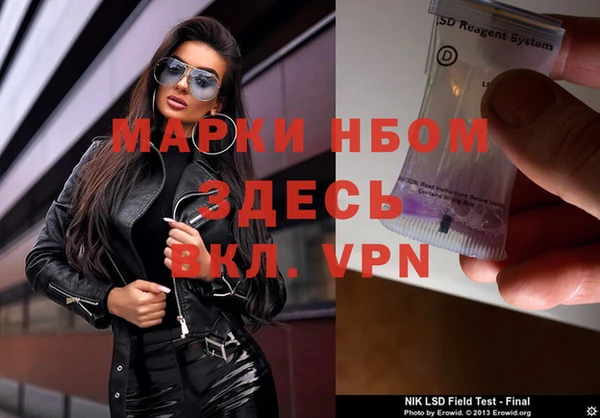 ECSTASY Богородицк