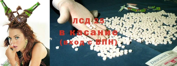 ECSTASY Богородицк