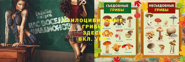 MDMA Богородск